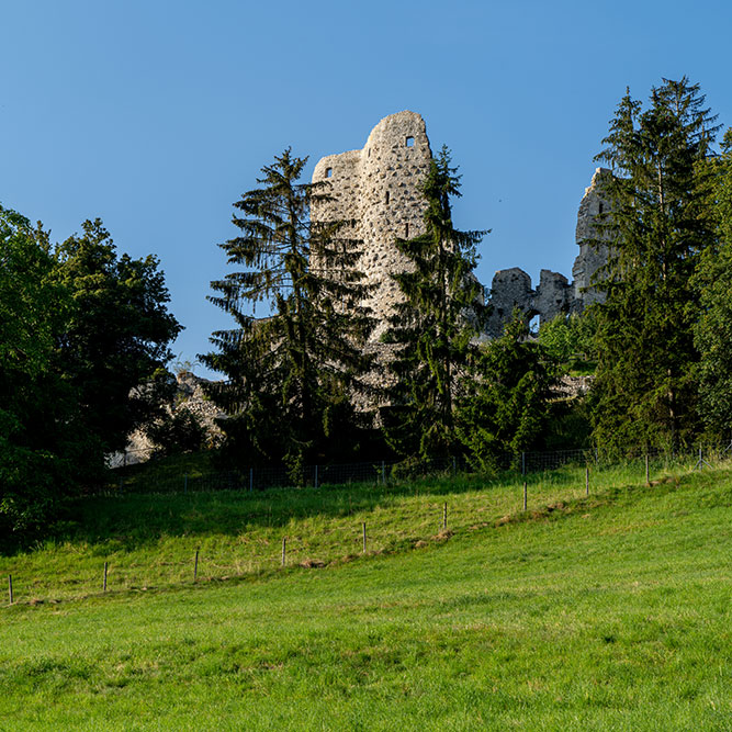 Ruine Pfeffingen