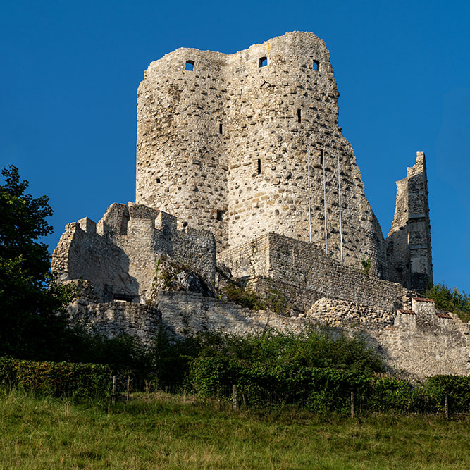 Ruine Pfeffingen