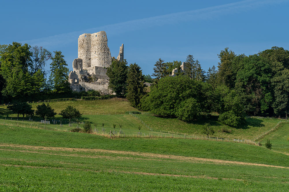 Ruine Pfeffingen