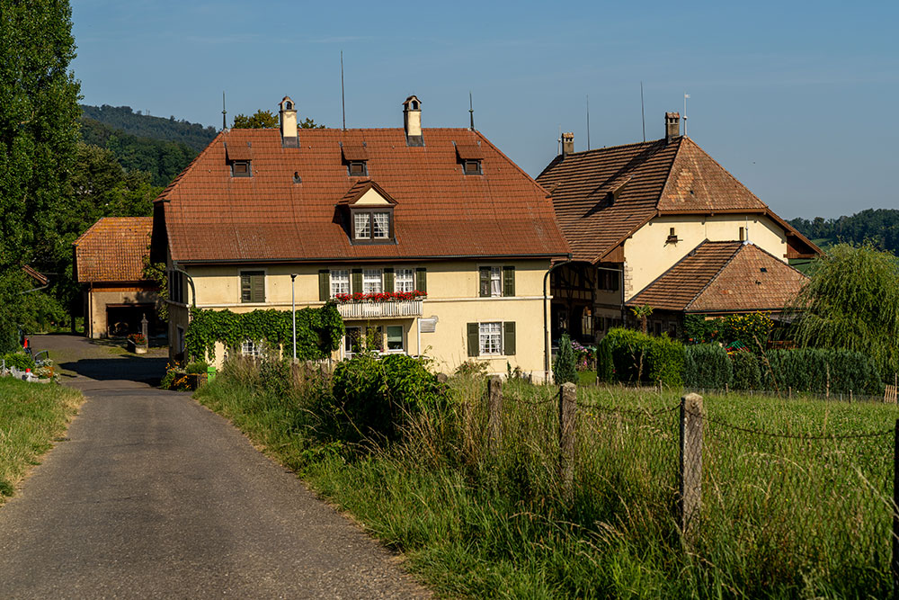 Schlosshof in Pfeffingen