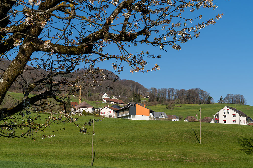 Läufelfingen