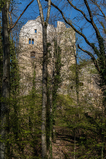 Ruine Homburg