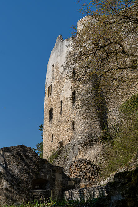 Ruine Homburg