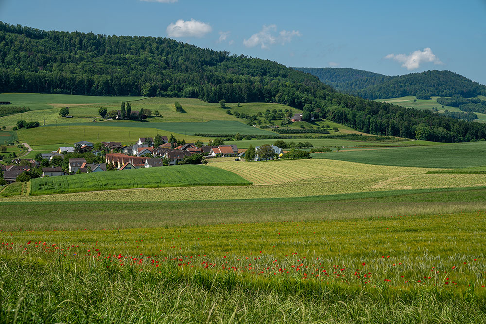 Känerkinden