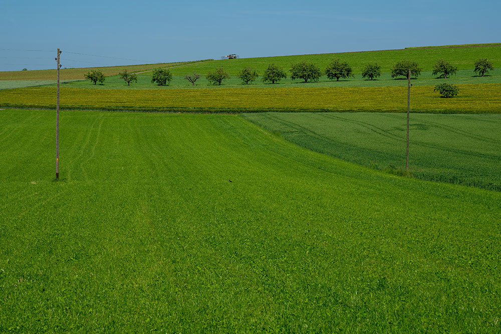 Känerkinden