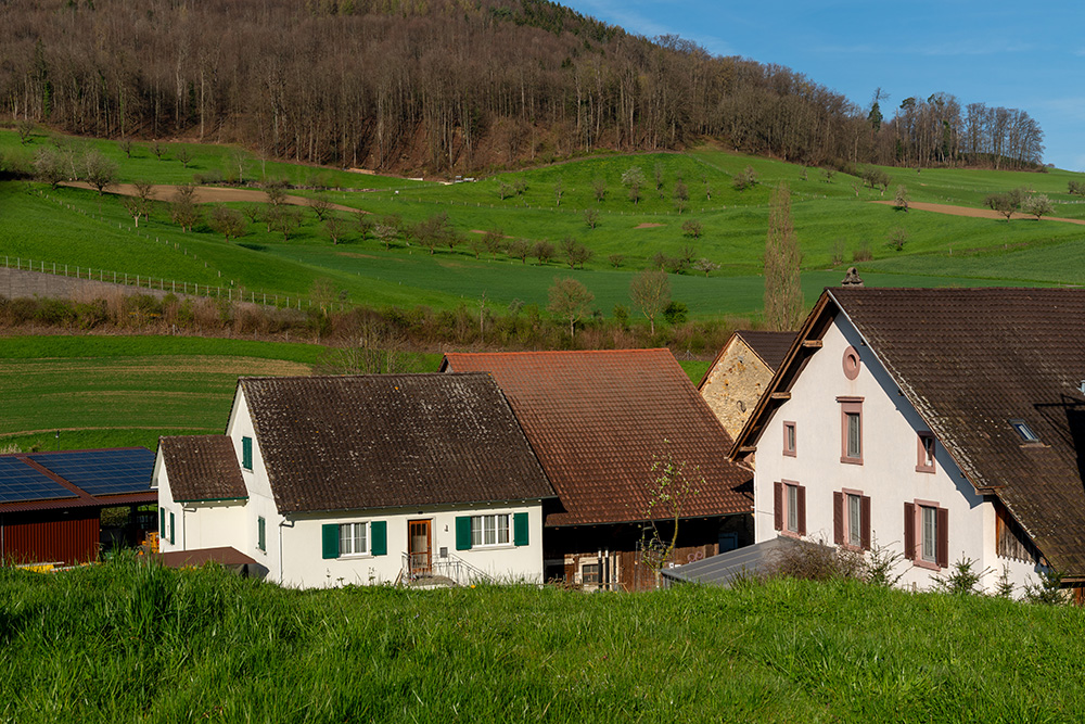 Speichmattweg Arisdorf