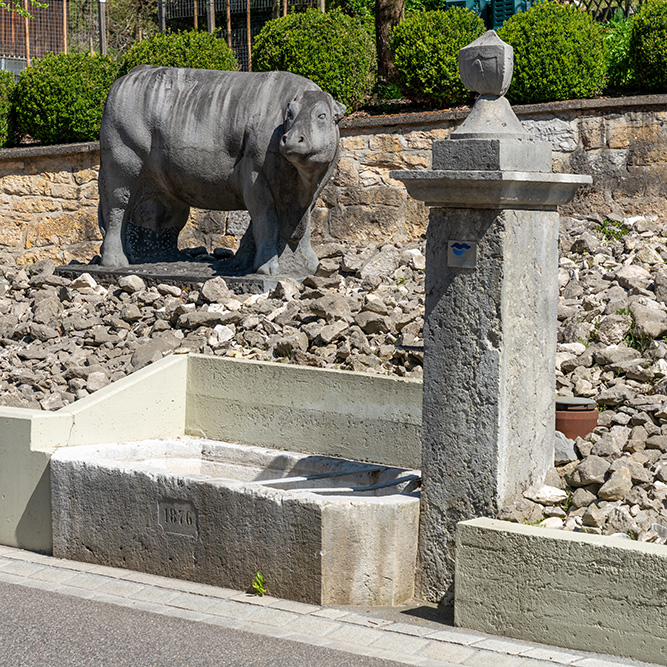 Brunnen in Arisdorf
