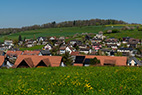 Arisdorf-121