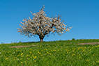 Arisdorf-123