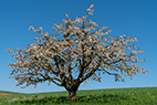 Arisdorf-125