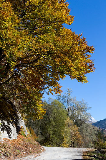 Weg entlang dem Schrabach