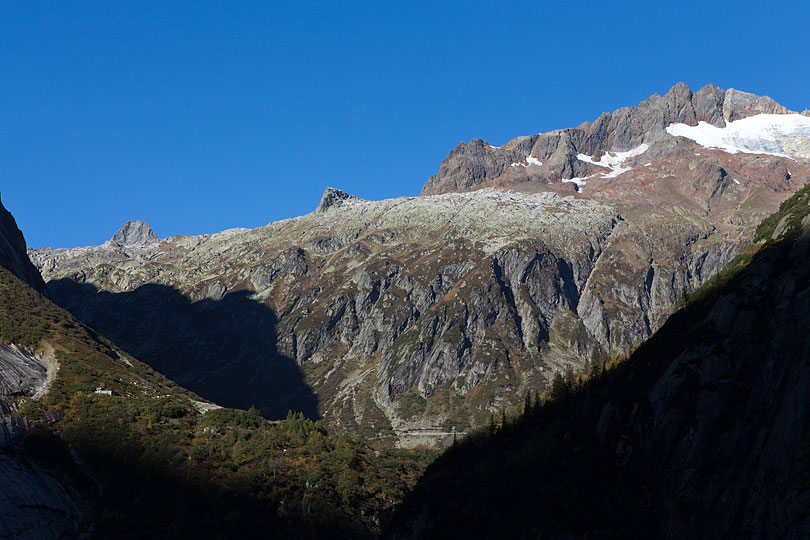 Steinlauihorn