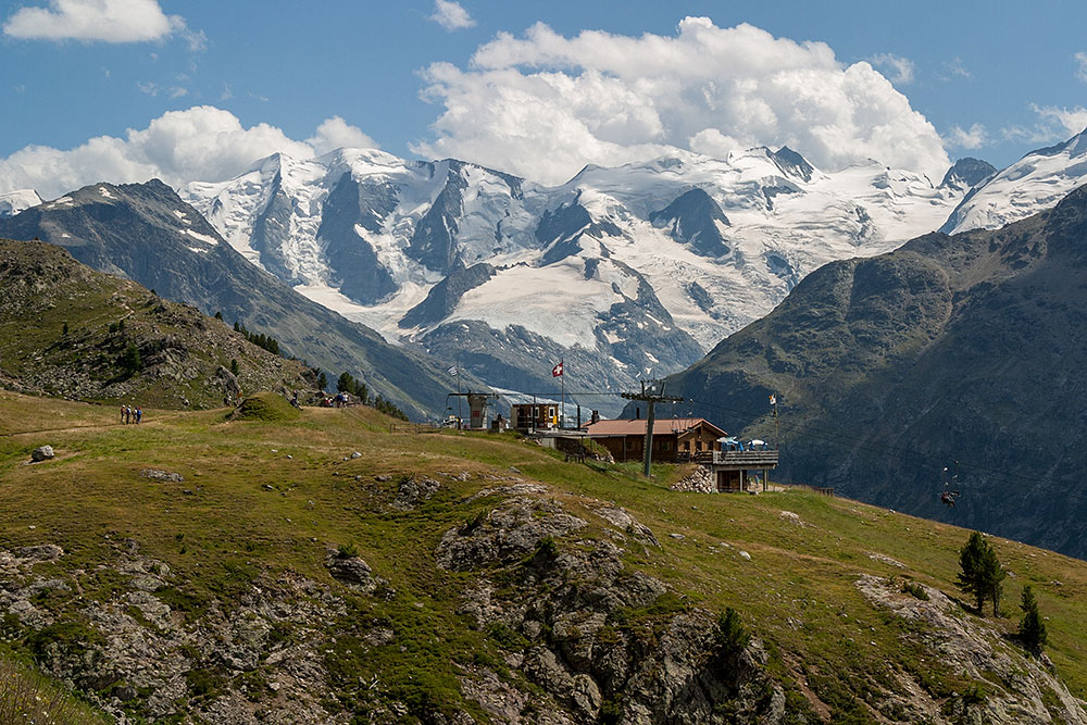 Alp Languard mit Berninagruppe