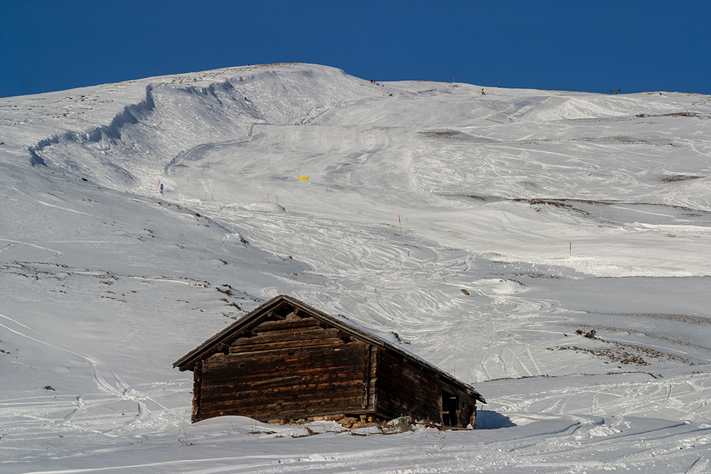Alp Dado