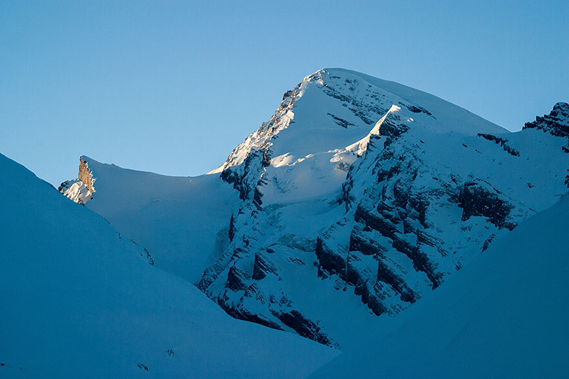 Rinderhorn im Morgenlicht