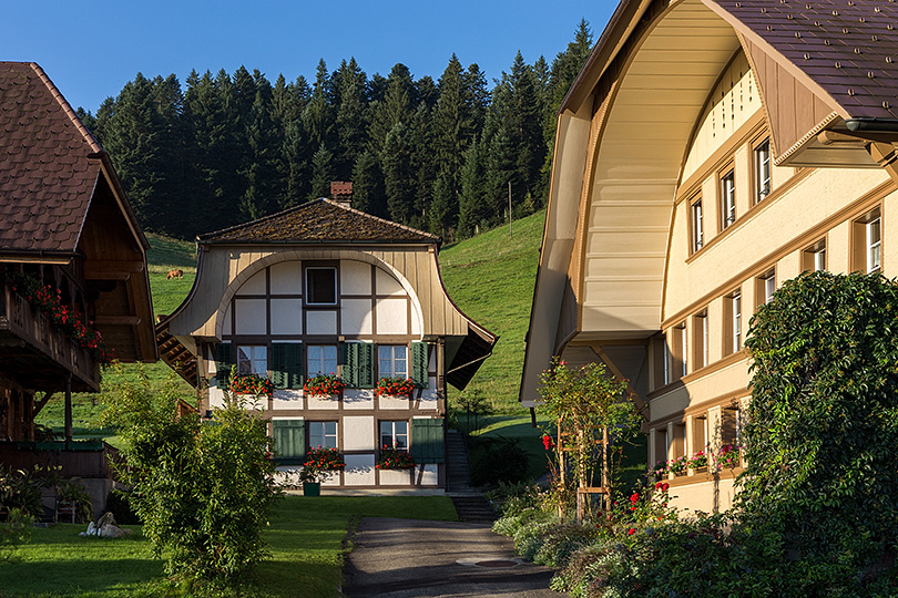 Löwen in Rüderswil