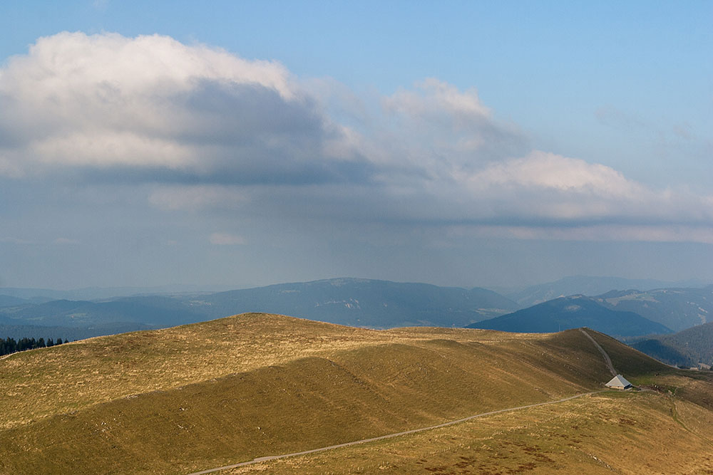 Alp auf dem Chasseral