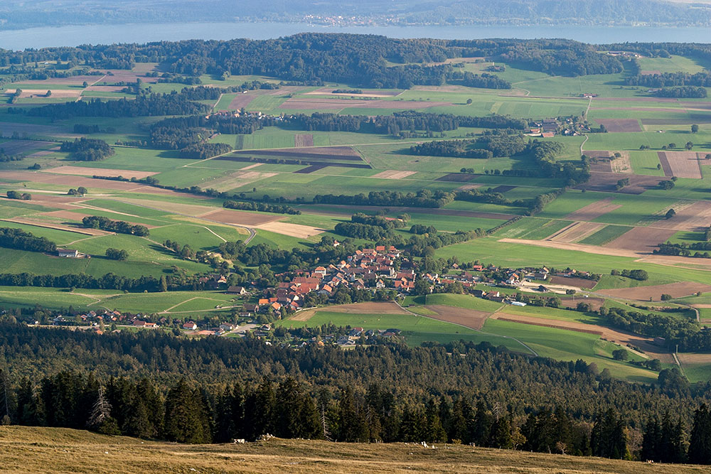 Alp auf dem Chasseral