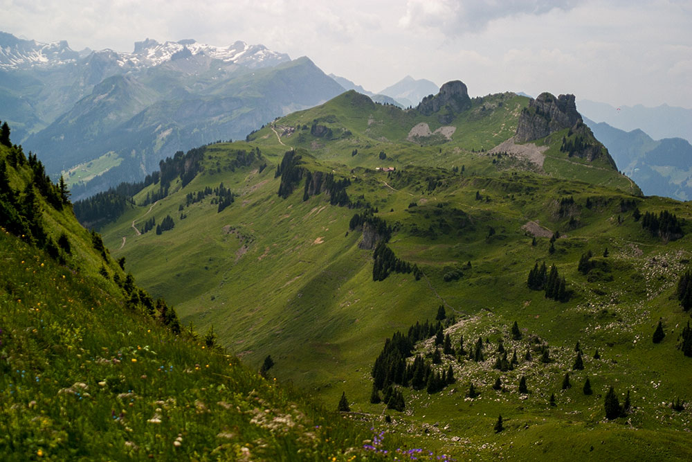 Schynige-Platte