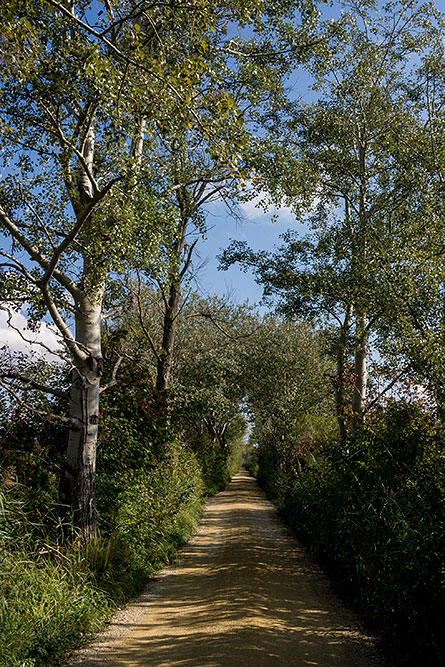 Fussgänger- und Veloweg um Klosterhotel