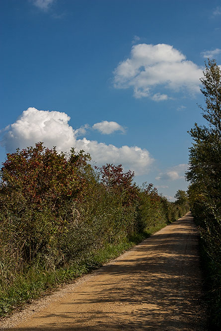 Fussgänger- und Veloweg um Klosterhotel