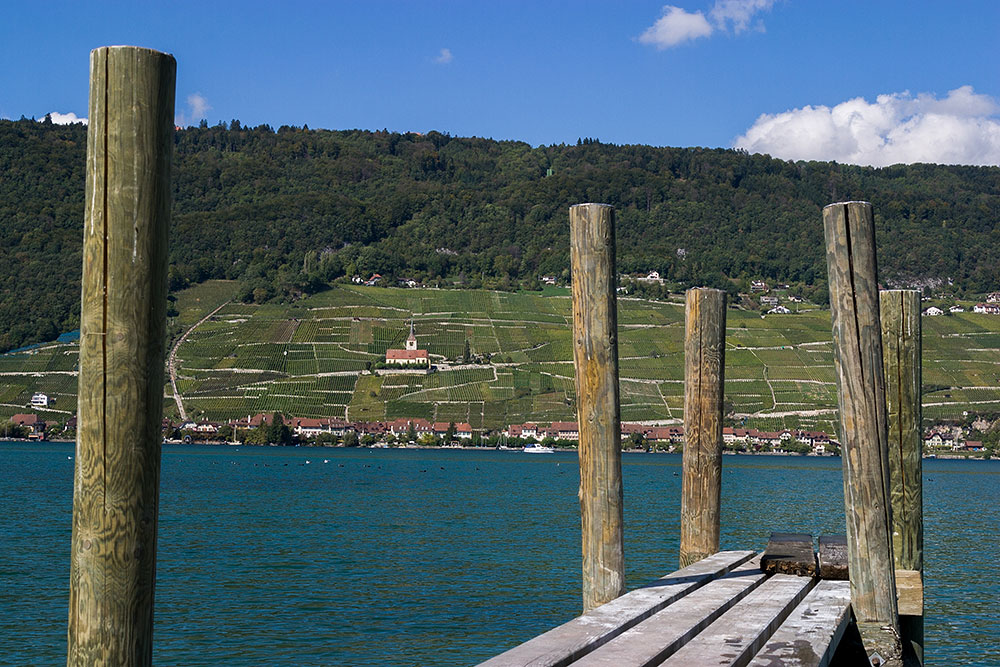 Blick über den Bielersee nach Ligerz