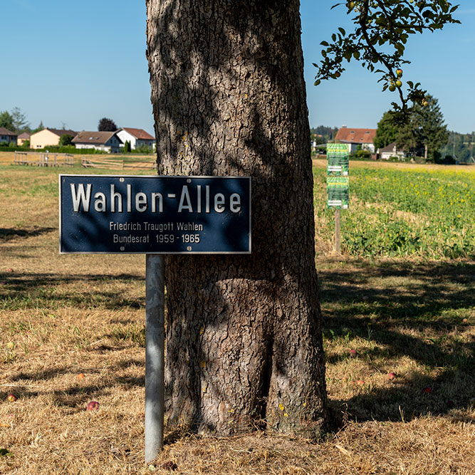 Wahlen-Allee