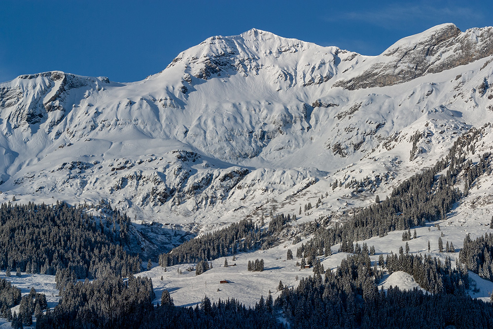 Bietenhorn