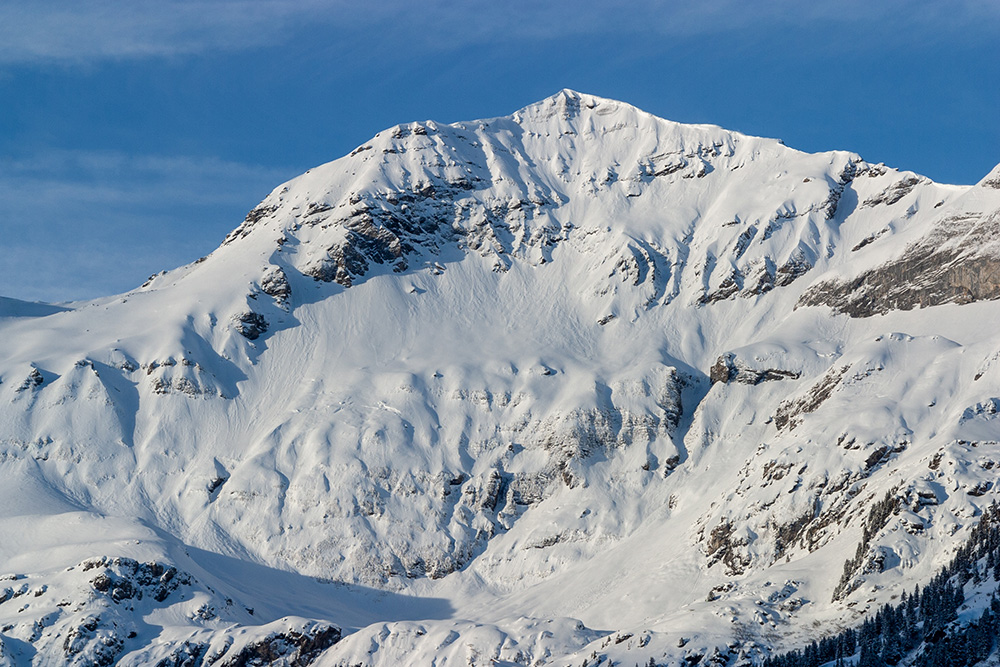 Bietenhorn