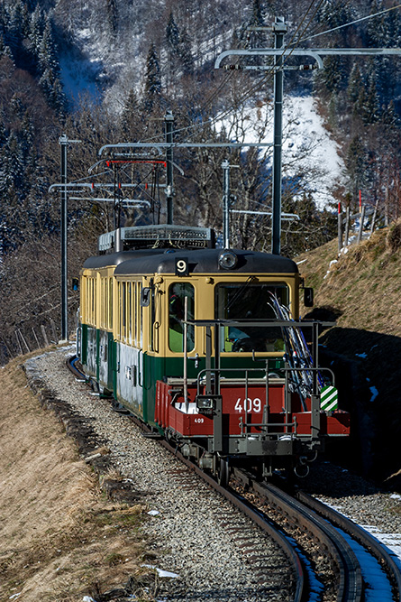 Wengernalpbahn