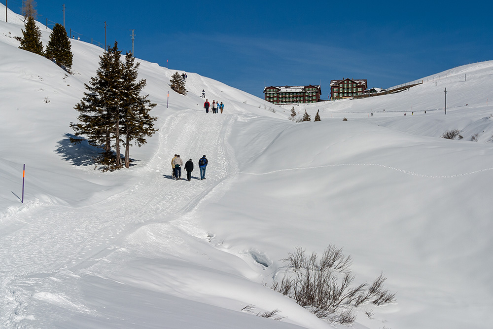 Kleine Scheidegg