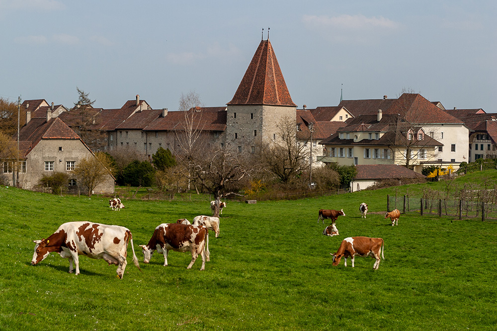 Wiedlisbach