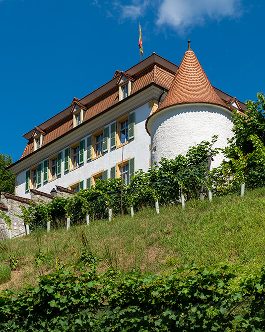 Château de Moutier