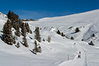 04-BE-Wengen-029
