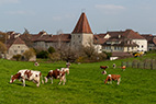 04-BE-Wiedlisbach-001