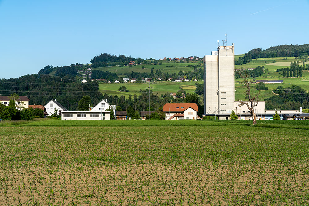 Landi in Wichtrach