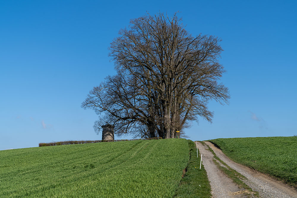Denkmal Bramberg