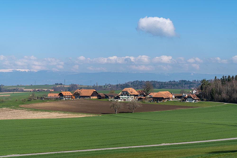 Sürihubel
