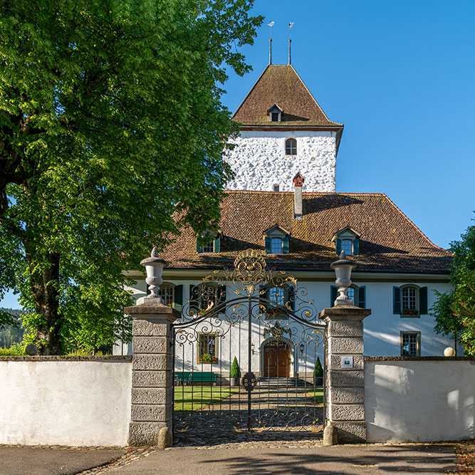 Schloss Wyl