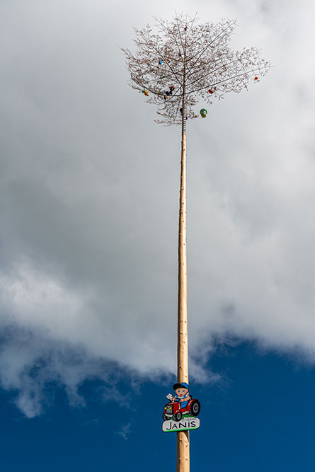 Geburtsbaum