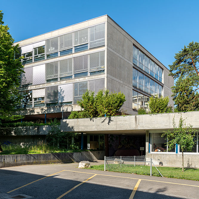 Schule Weidteile