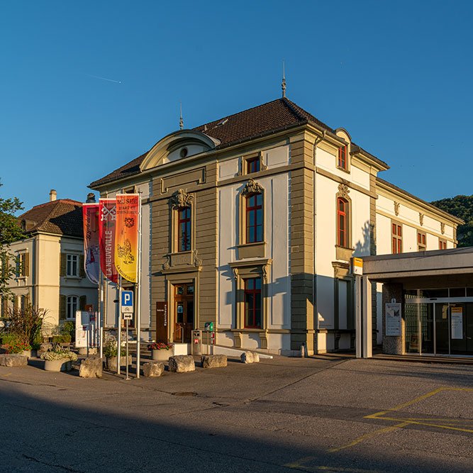 Cinéma et Musée