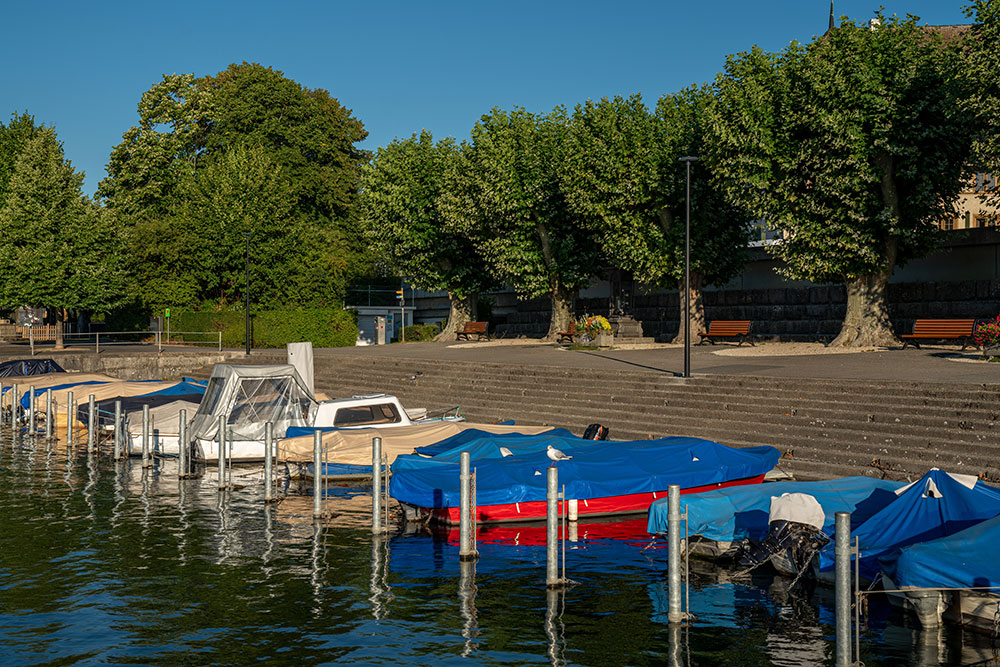 Au Lac de La Neuveville