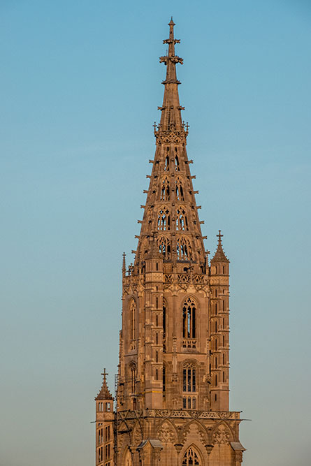 Berner Münster