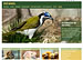 www.zoobasel.ch
