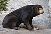 Zoo-078
