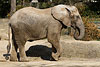 Zoo-093