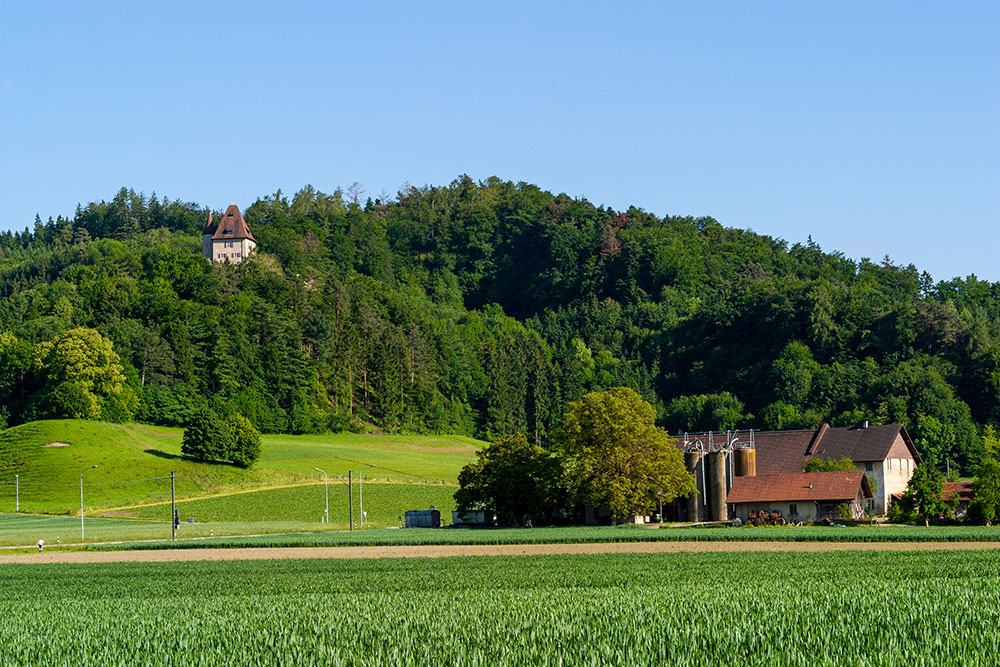 Schloss Liebegg