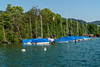 Beinwil am See 077