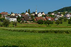 Beinwil am See 080